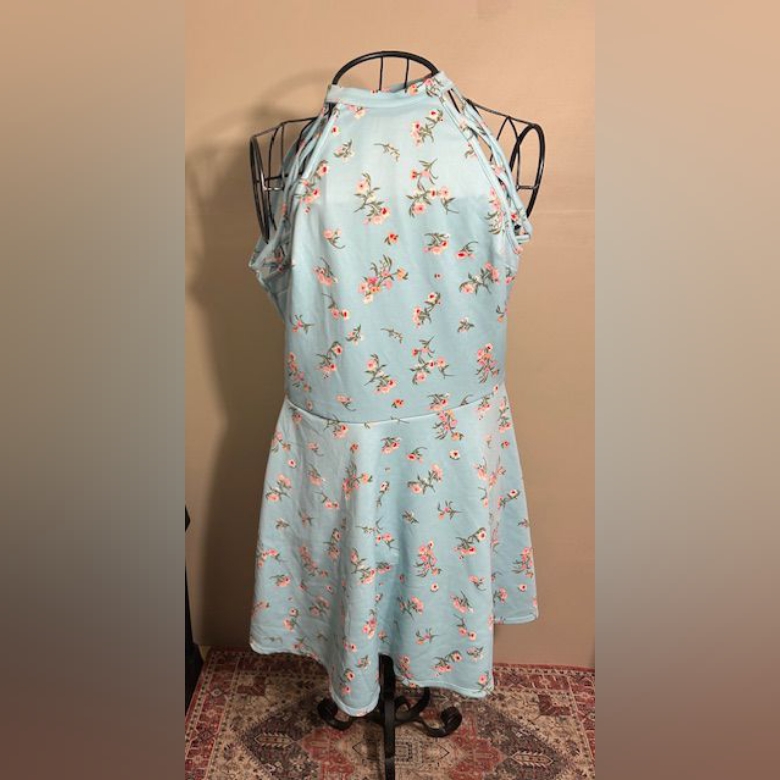 Size Extra Large Womens Dress Party Pink Green Blue Floral Pretty
